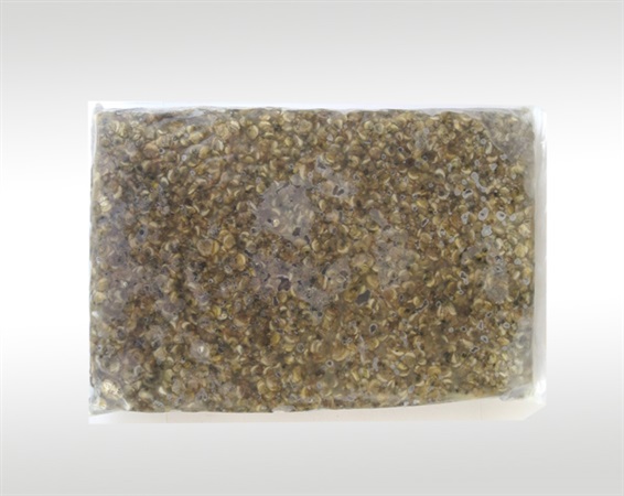 EPE珍珠棉包裝-006